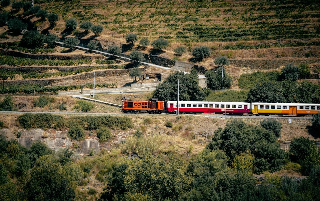Portugal by Train: A Scenic 7-Day Rail Itinerary from Porto to the Algarve