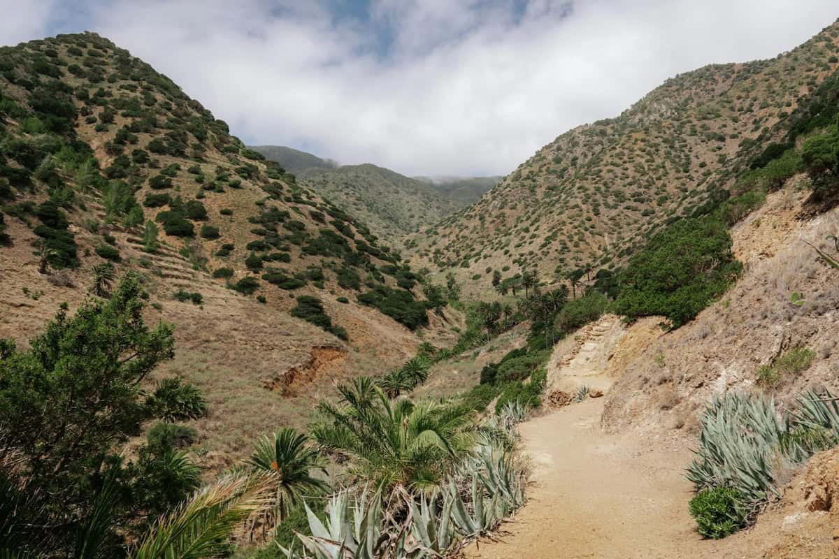 This hiking trail in La Gomera has been named one of the world’s best by Lonely Planet