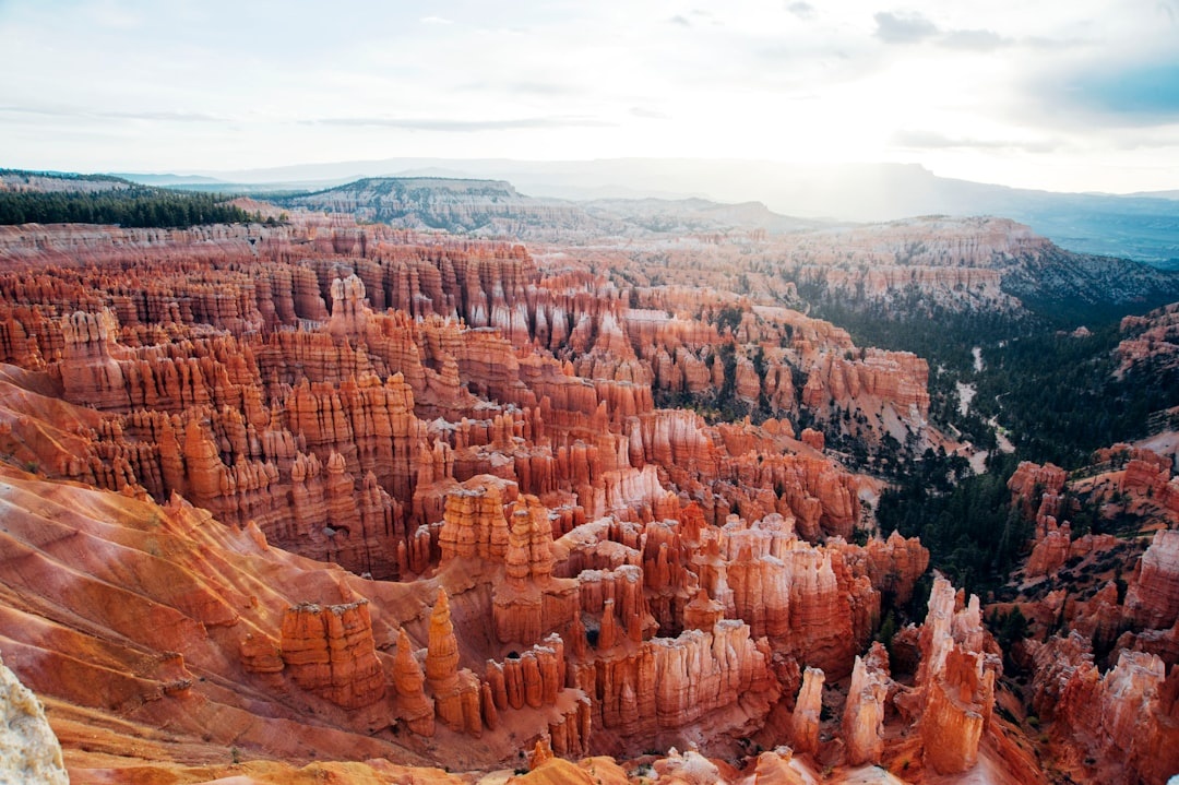 Top 8 Affordable U.S. National Parks to Visit Before Peak Summer Crowds (May–June 2026)