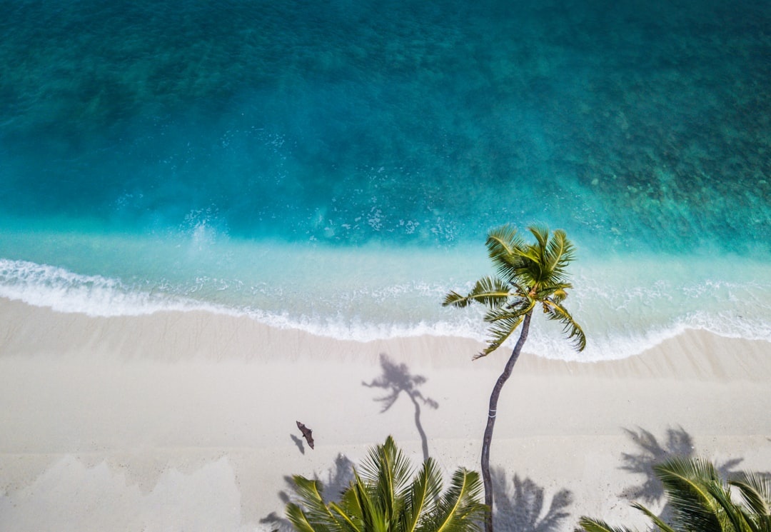 Top 8 Budget-Friendly Beach Destinations for Summer 2026 (Flights Under $500)