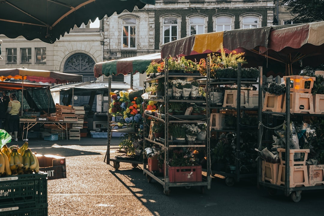 Best Food Markets in Europe for a Summer Trip: What to Eat at La Boqueria, Testaccio, and Borough (With Price Guide)
