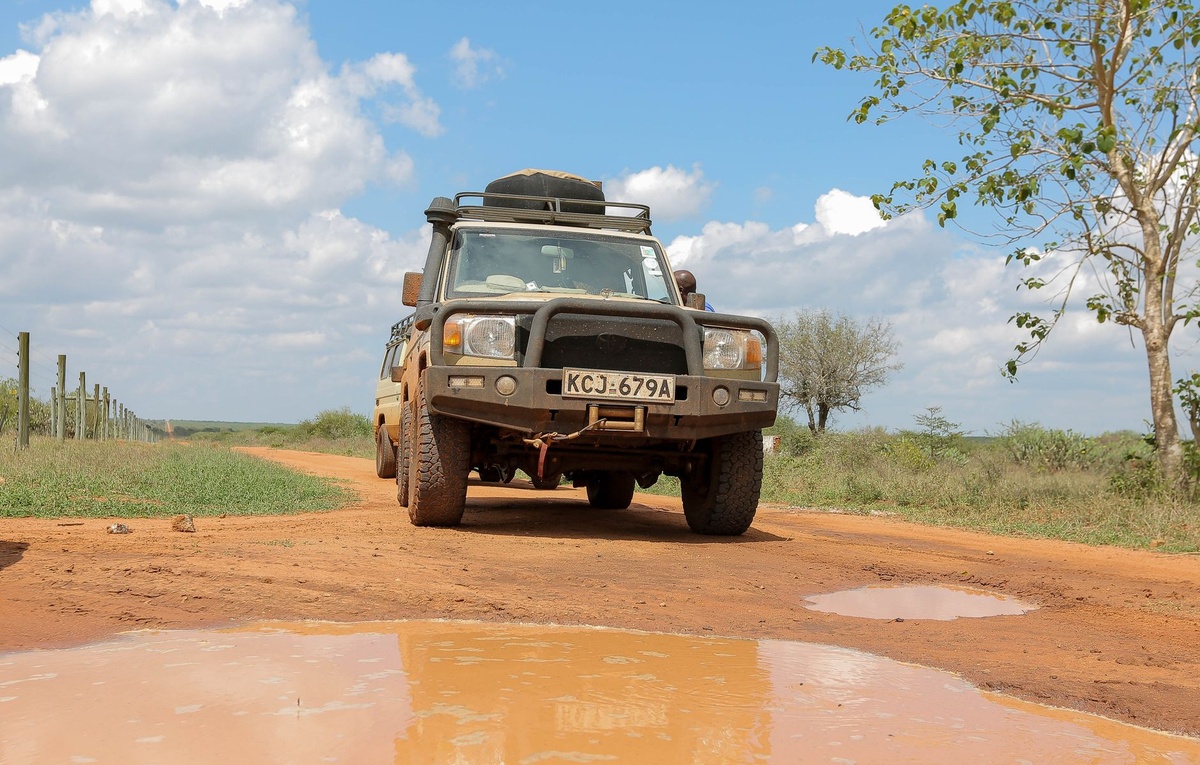 First Safari in Africa: Kenya vs Tanzania vs South Africa Compared by Price, Wildlife Density, and Ease of Planning