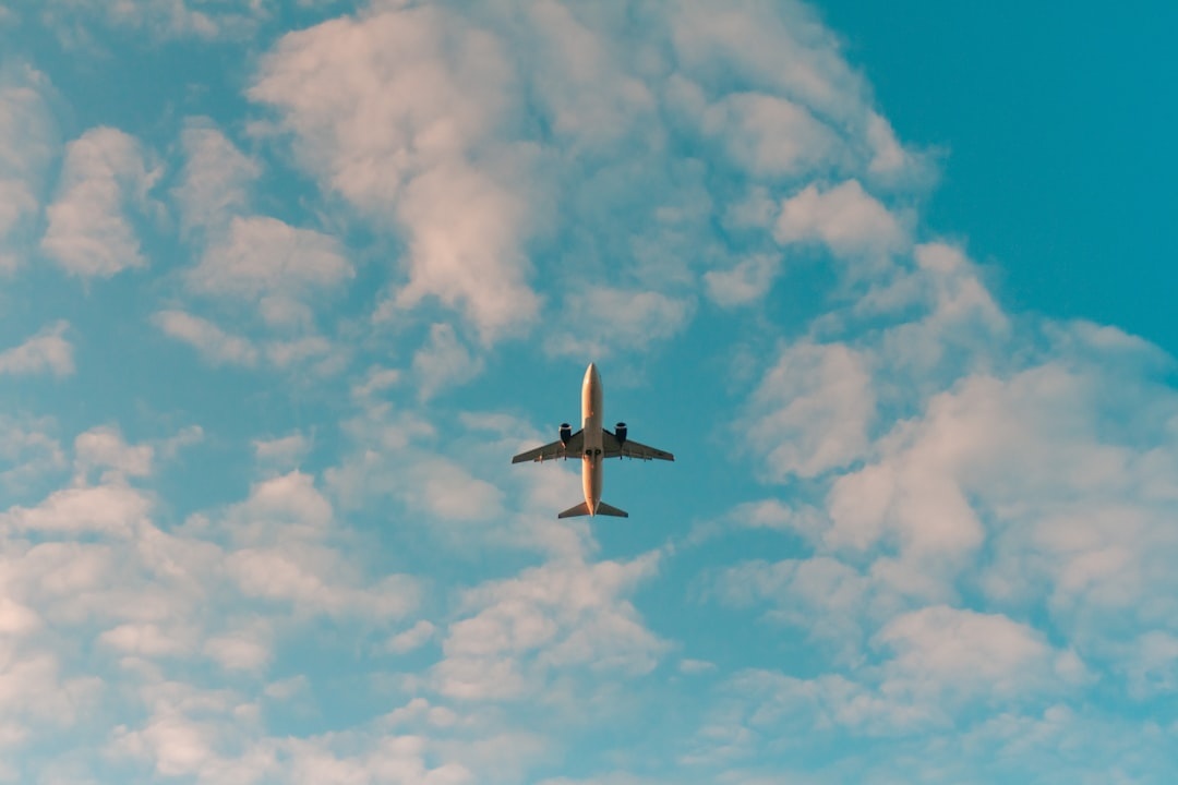 How Full Is My Flight? 4 Simple Ways to Check Before Boarding