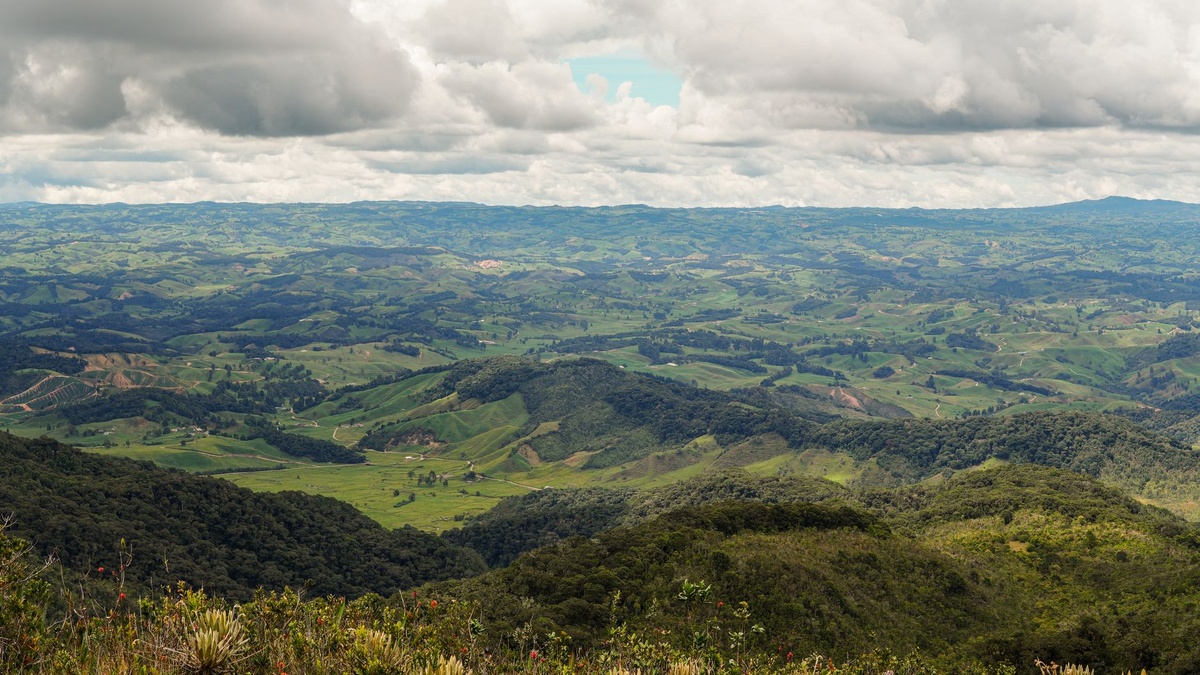 Is Colombia Safe for Travelers in 2026? Crime Data, Safe Neighborhoods in Medellín, and Common Tourist Scams Explained