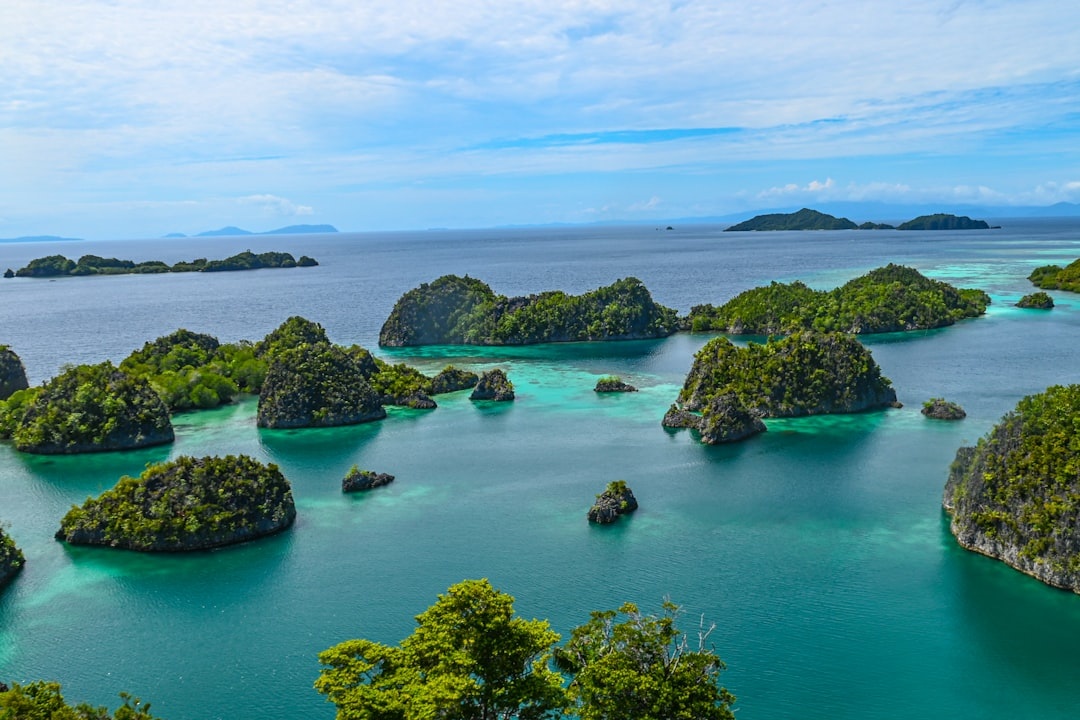 Is Raja Ampat Worth the $2,000+ Price Tag? A Real Cost Breakdown for Divers and Non-Divers