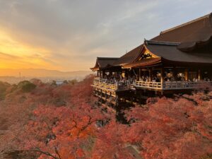 Kyoto Temple-Hopping Without the Crowds: A 1-Day Route Covering Fushimi Inari, Tofuku-ji & Daigo-ji (With Bus vs Train Tips)