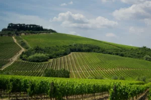 Tuscany Wine Road Trip: 5 Days Through Chianti & Val d’Orcia (Summer 2026 Guide)