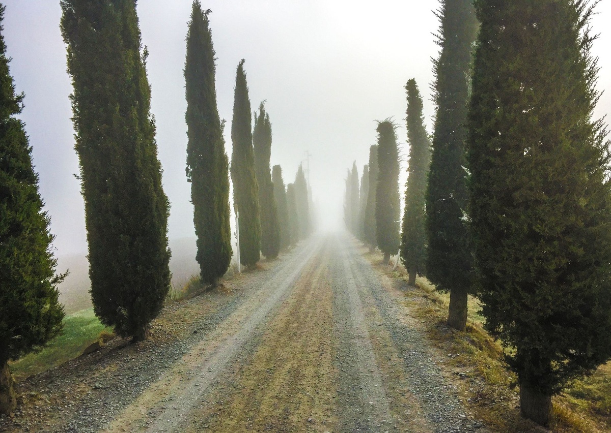 Tuscany vineyards and countryside