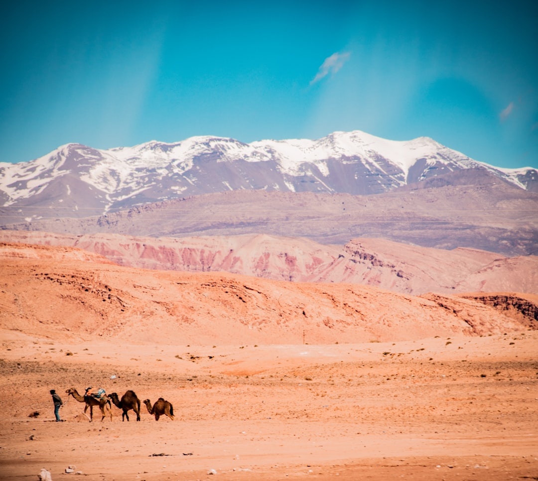 Einheimischen‑Roadtrip durch Marokko in 10 Tagen: Von Tangier in die Sahara – Fahrdistanzen 2026, Polizeikontroll‑Daten, Spritkosten in Dirham und Besucherströme nach Region