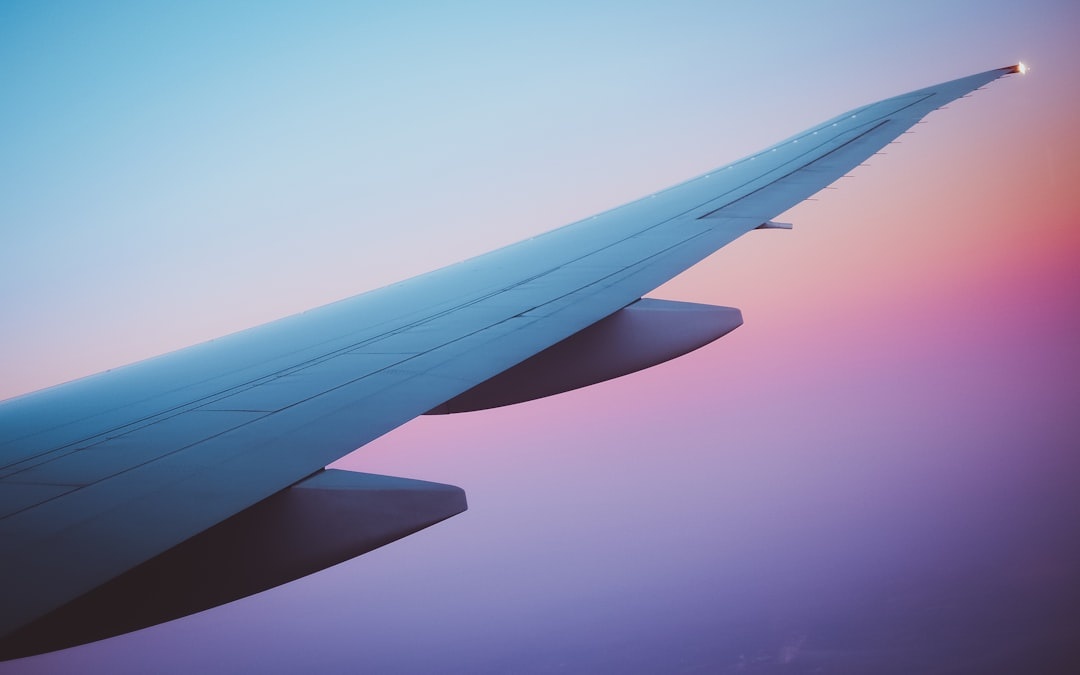 FlightGlitch