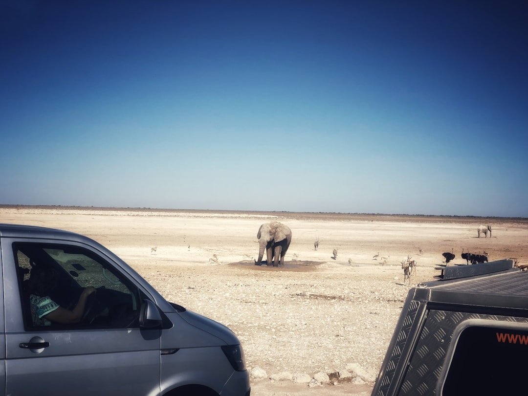 Namibia Self‑Drive for Couples: A Step‑by‑Step 10‑Day Itinerary From Windhoek to Etosha and Sossusvlei (4x4 Rental Costs, Fuel Stops, and Campsite Booking Strategy for 2026)