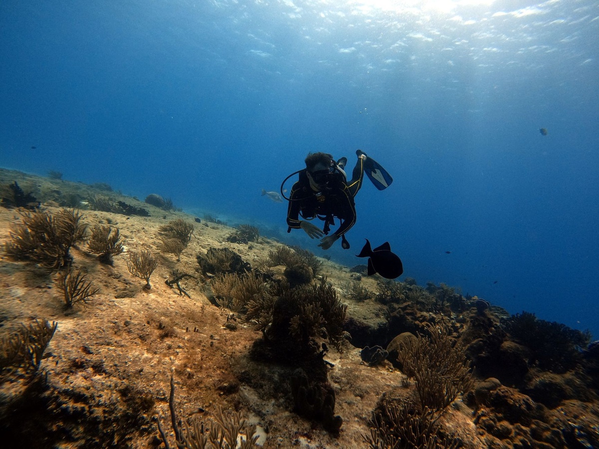 Scuba Diving for Beginners: Cozumel vs Malta vs Bali — Where to Get PADI Certified in 2026