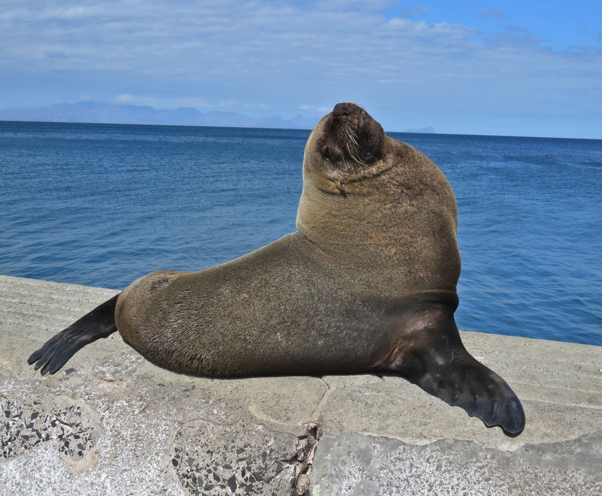 The Real Cost of a 7‑Day Galápagos Trip with Kids in Ecuador’s Dry Season: 2026 Flight Data, Cruise vs Land‑Based Prices, Park Fees, and Family Room Rates Compared