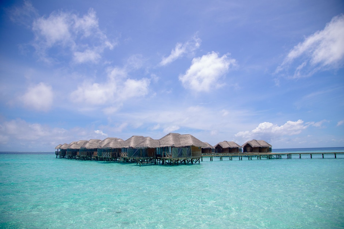 **Why Overwater Bungalows in the Maldives Are Cheaper (and Greener) in September: A Solo Traveler’s Contrarian Guide to Low‑Season Luxury and Reef Impact**