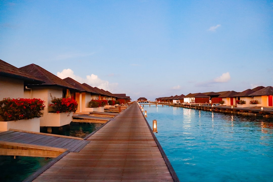 **Why Overwater Bungalows in the Maldives Are Cheaper (and Greener) in September: A Solo Traveler’s Contrarian Guide to Low‑Season Luxury and Reef Impact**