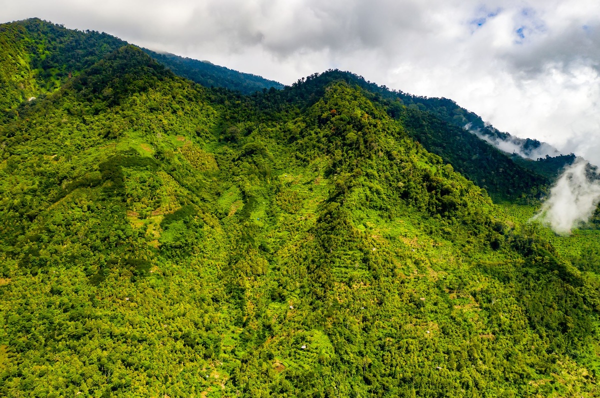 **Why Southeast Asia’s “Low” Green Season (July–September) Can Be Safer for Solo Travelers: A Contrarian 2026 Look at Scam Patterns in Bangkok, Bali, and Ho Chi Minh City**