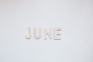 Why Winter (June–August) Is the Best First‑Timer Season for South Africa’s Garden Route — Whale Sightings, Lower Prices in Knysna, and Fewer Cape Town Crowds