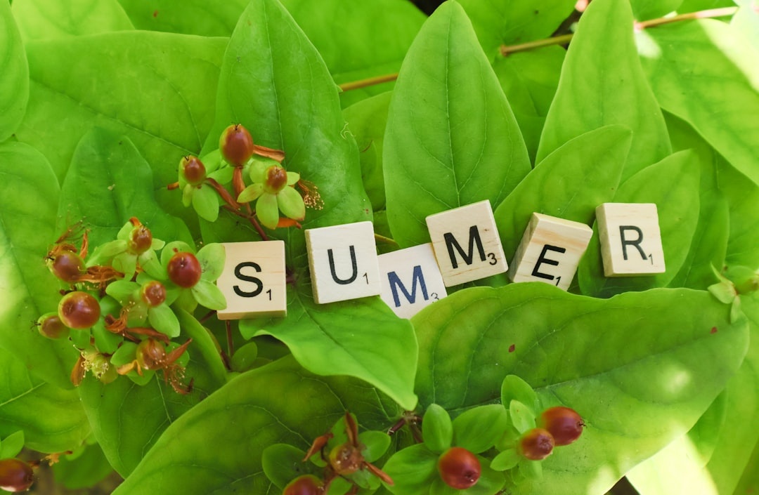 Por qué el invierno (junio–agosto) es la mejor temporada para principiantes en la Garden Route de Sudáfrica — Avistamiento de ballenas, precios más bajos en Knysna y menos multitudes en Cape Town
