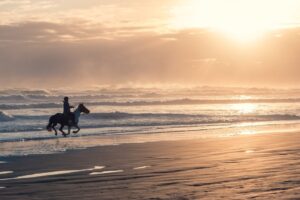 The September Equinox Hack: 6 Destinations Where You Can Choose Between Fall and Spring on 23 September