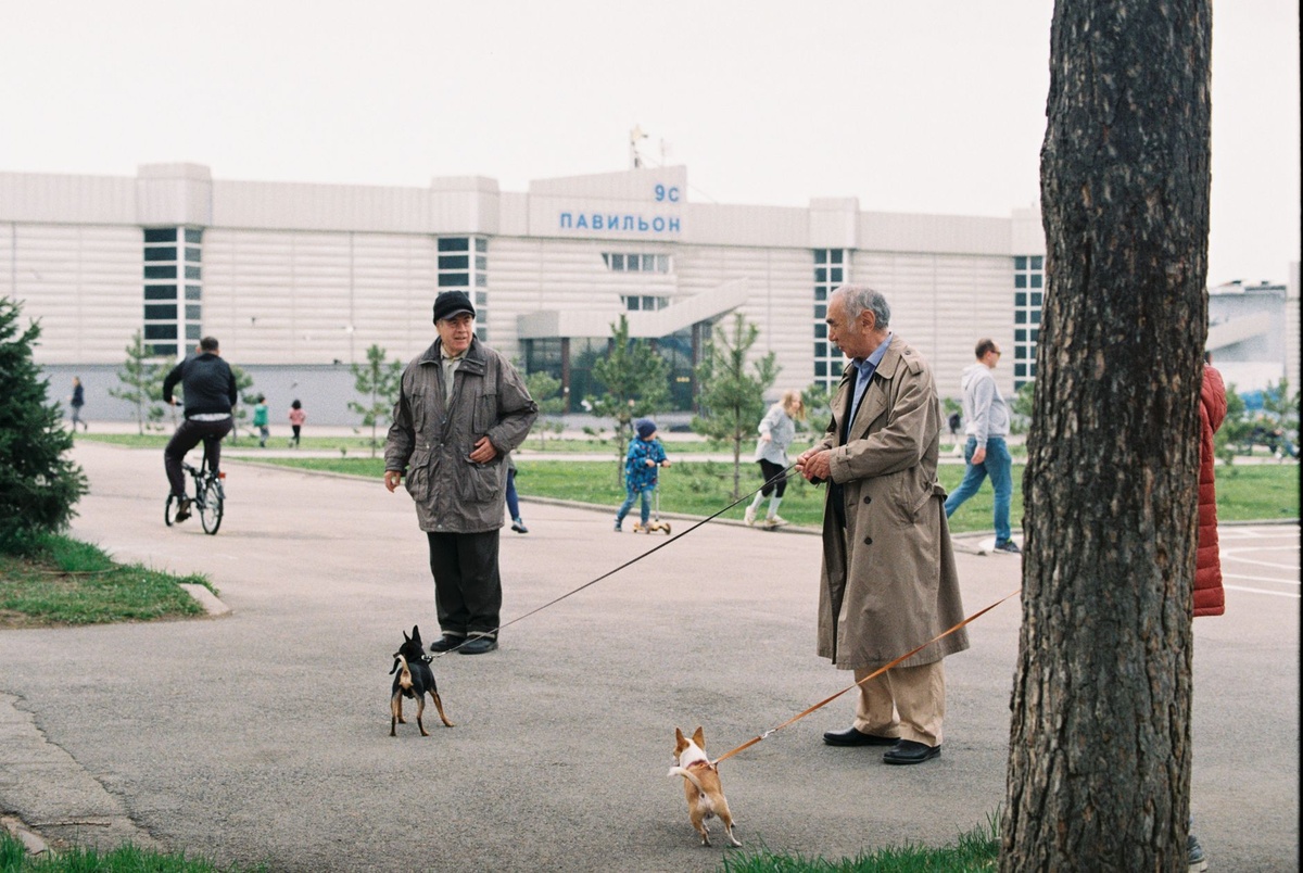 Les hébergements atypiques d’Almaty pour les seniors en 2026 : comparaison axée sur les données des sanatoriums soviétiques, des yourtes de montagne et des hôtels-boutiques Kok-Tobe selon le prix, les escaliers et le temps en taxi