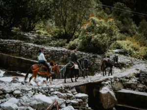 How to Plan a Luxury Horseback Trek Through Kyrgyzstan’s Terskey Alatau in September 2026