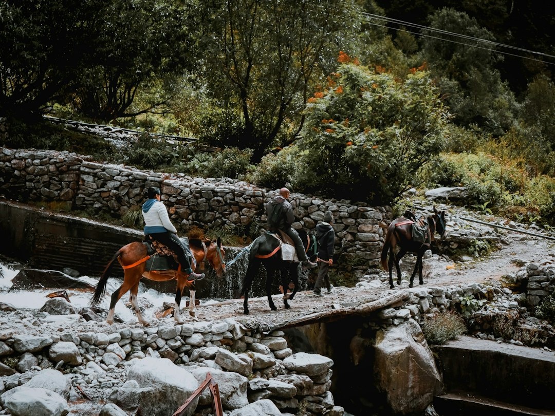 How to Plan a Luxury Horseback Trek Through Kyrgyzstan’s Terskey Alatau in September 2026: Step-by-Step 7-Day Jyrgalan–Boz-Uchuk Route With Private Guides, Premium Yurts, Weather Windows, Packing, and Costs