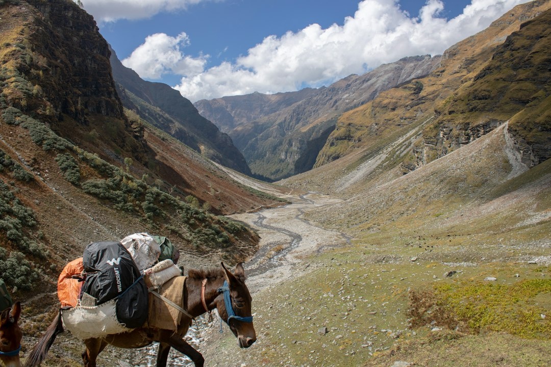 How to Plan a Luxury Horseback Trek Through Kyrgyzstan’s Terskey Alatau in September 2026: Step-by-Step 7-Day Jyrgalan–Boz-Uchuk Route With Private Guides, Premium Yurts, Weather Windows, Packing, and Costs
