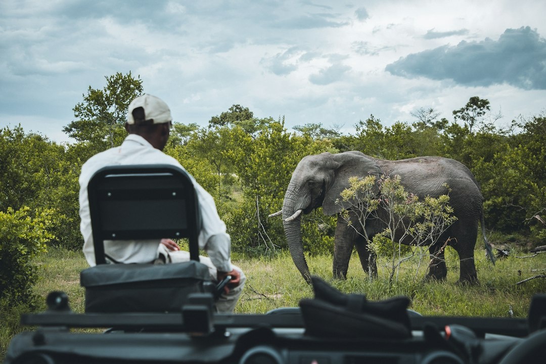 How to Plan Your First Kruger Safari in 2026: Step-by-Step 10-Day Self-Drive Route With Rest-Camp Bookings, Gate Times, Rental Cars, Daily Distances, and Costs