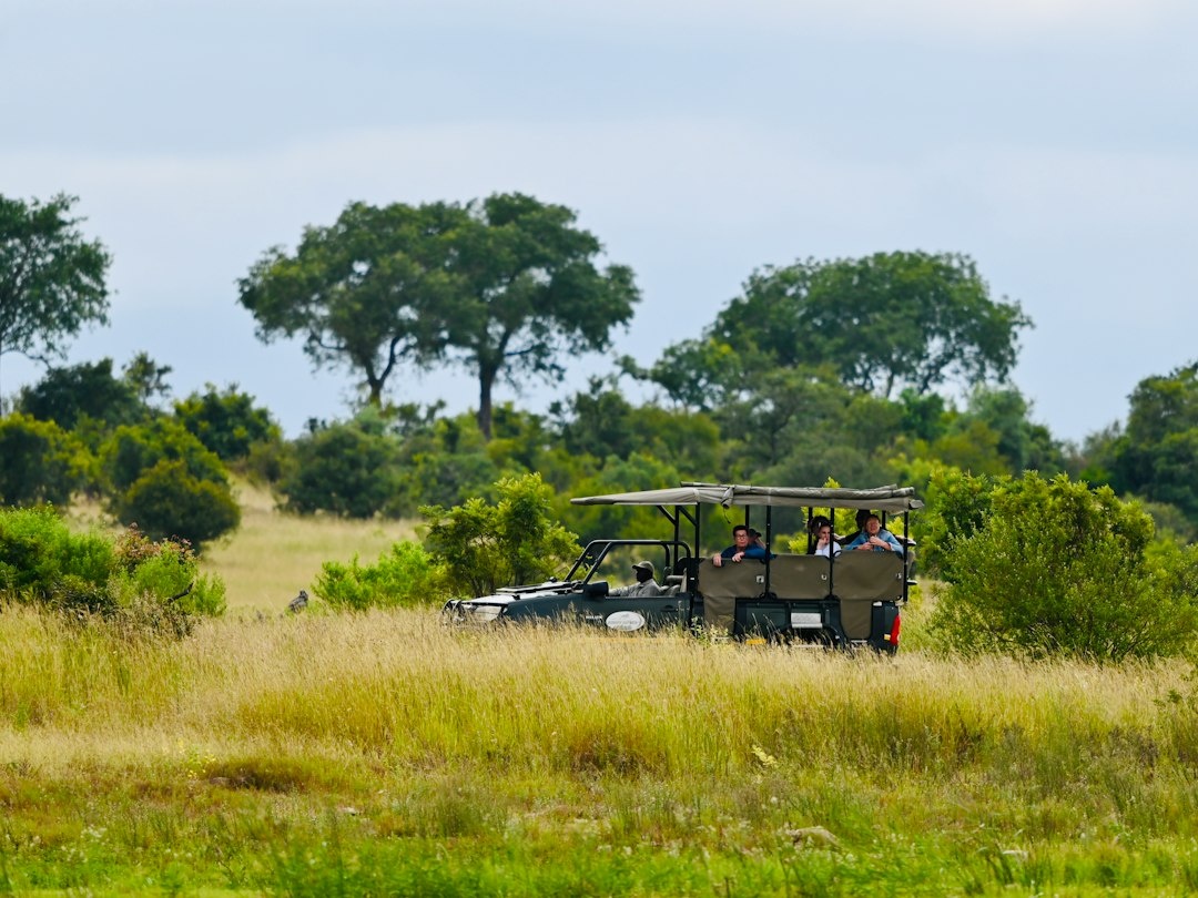 How to Plan Your First Kruger Safari in 2026: Step-by-Step 10-Day Self-Drive Route With Rest-Camp Bookings, Gate Times, Rental Cars, Daily Distances, and Costs