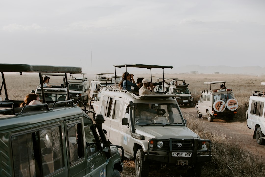 Kenya vs Tanzania for the September Great Migration: A 9-Day Safari Case Study Comparing Mara River Crossings, Game-Drive Hours, Camps, Border Logistics, and Per-Person Costs