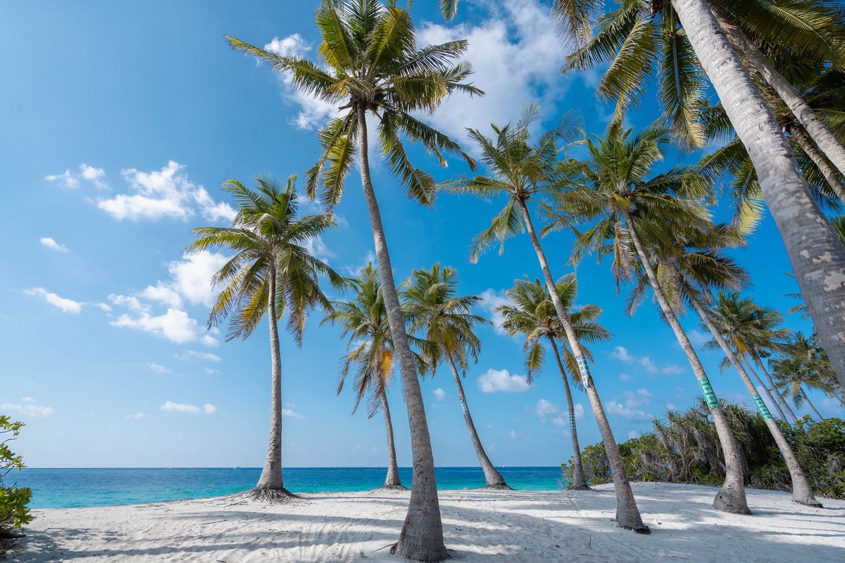 Maldives vs Seychelles With Points: A Data-Driven 2026 Honeymoon Strategy for Two Comparing Amex, Chase, and Capital One Redemptions, Eco-Certified Resorts, Transfer Costs, and Flight Emissions