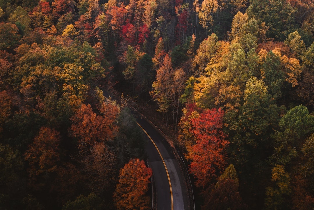 Planning a Fall Foliage Trip? Book These Amtrak Routes