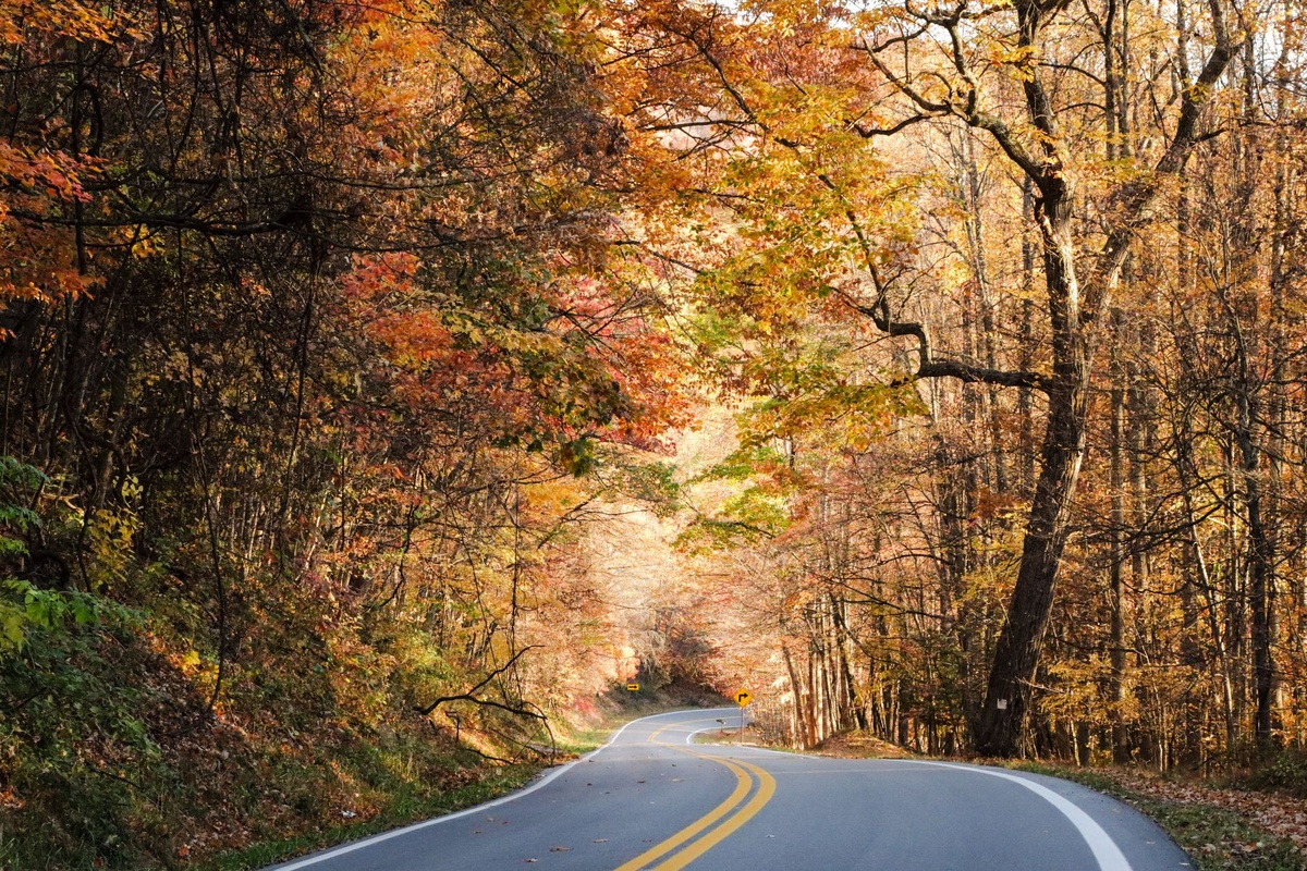 Planning a Fall Foliage Trip? Book These Amtrak Routes