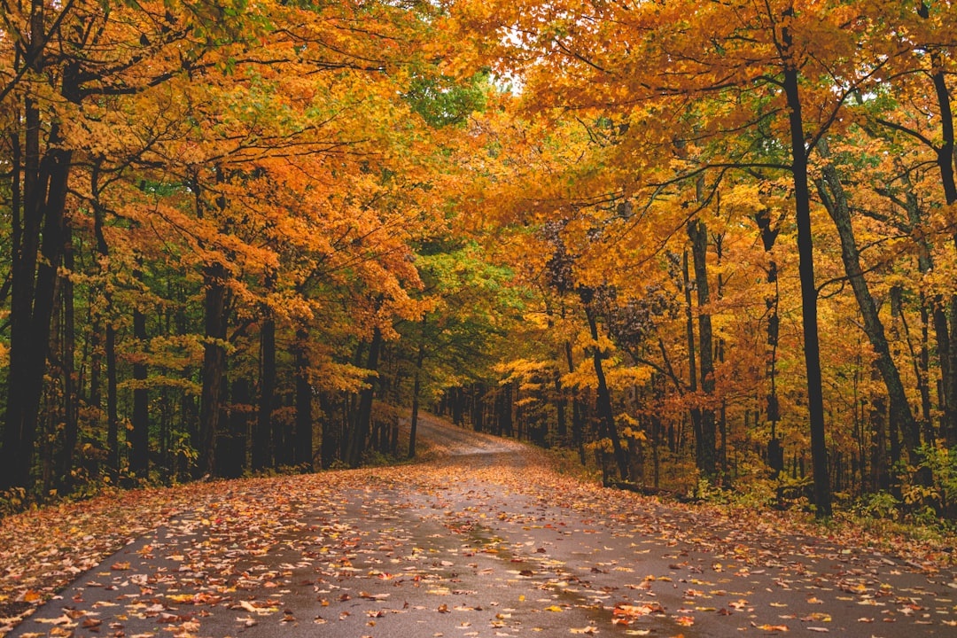 Planning a Fall Foliage Trip? Book These Amtrak Routes