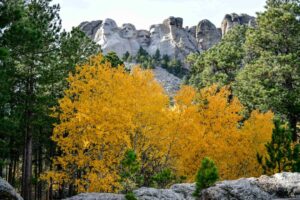 The Best Fall Foliage in the USA: Where to Go This Autumn