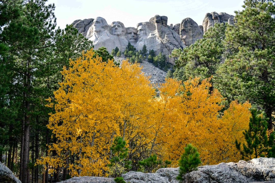 The Best Fall Foliage in the USA: A Guide to Where to Go This Autumn