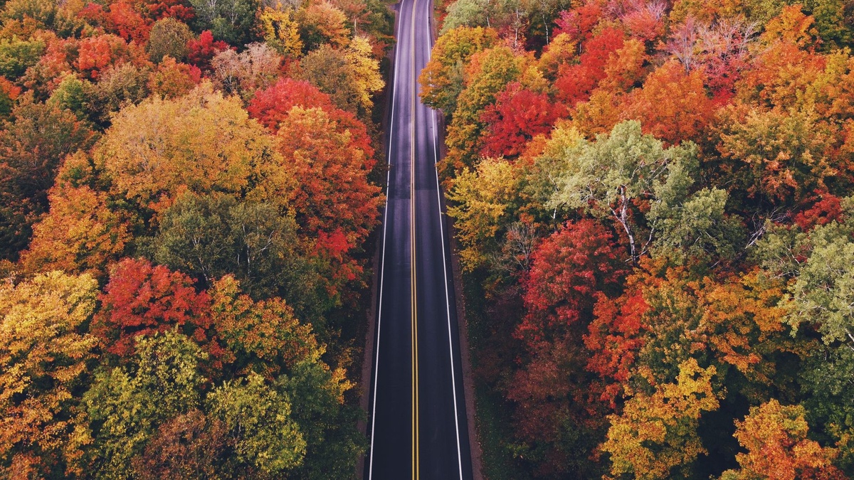 The Best Fall Foliage in the USA: A Guide to Where to Go This Autumn