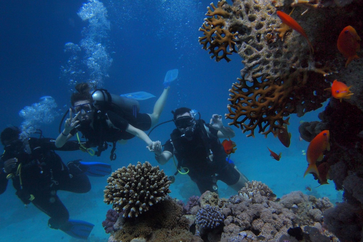 Scuba divers exploring a coral reef in the Red Sea near Marsa Alam, Egypt