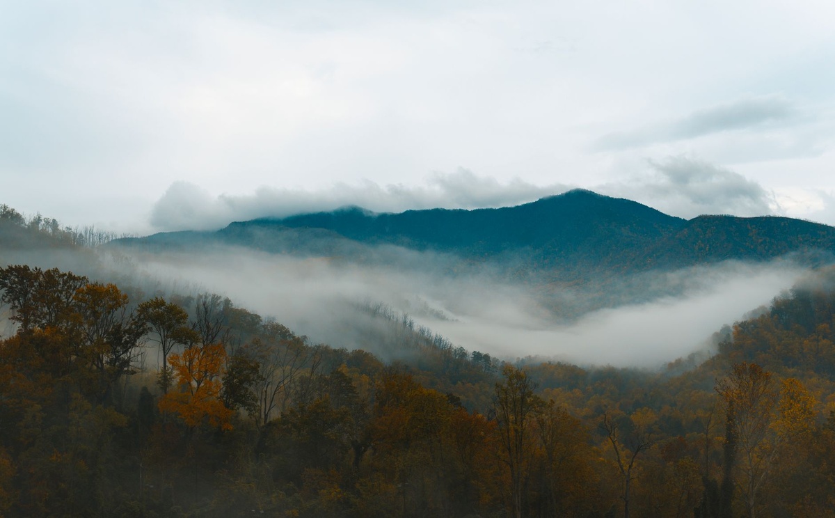 Wo man im Great Smoky Mountains National Park übernachtet für Bergblicke und Herbstlaub
