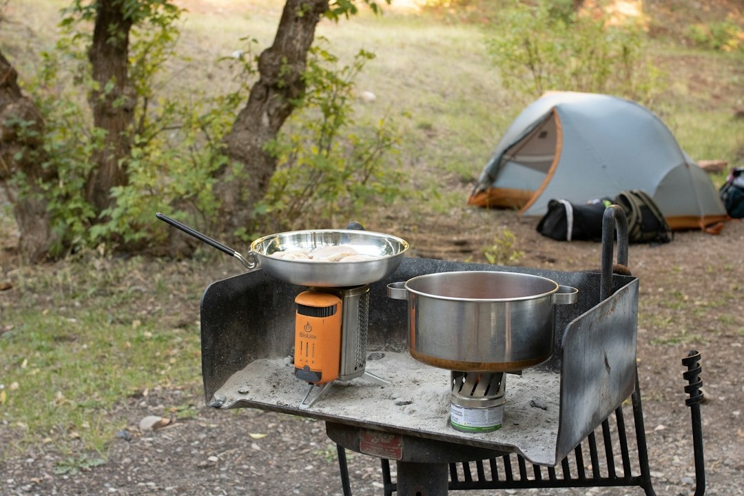 Backup by Biolite Review: A Cool Idea