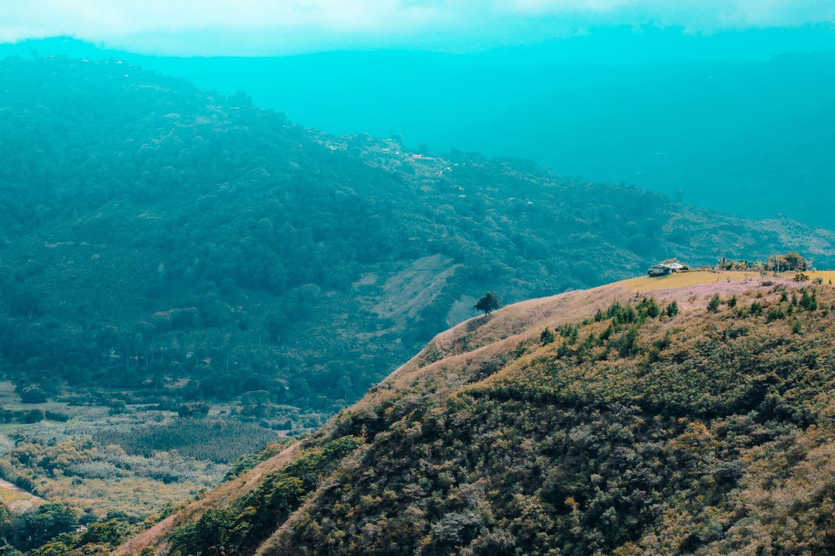 Costa Rica vs Colombia vs Panama for a Sustainable Luxury Coffee Escape: A Data-Driven Comparison of Estate Hotels, Farm Certifications, Water and Waste Policies, Private Tastings, Biodiversity, and Five-Night Prices