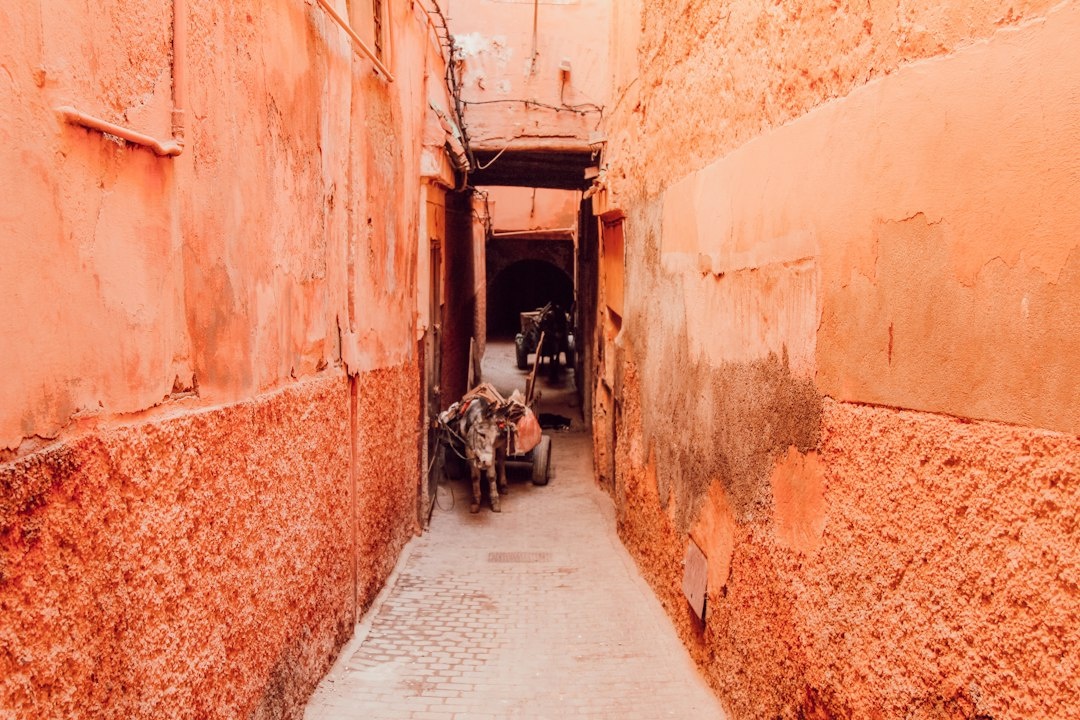 How to Drive Morocco Alone for the First Time: A Step-by-Step 10-Day Marrakech–Aït Benhaddou–Merzouga–Fès Road Trip With Daily Distances, Fuel Stops, Police Checks, Riads, and 2026 Costs