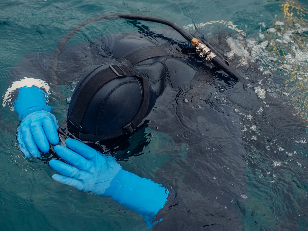 So machst du den PADI Open Water Tauchschein am Great Barrier Reef, wo Findet Nemo spielt: Ein Schritt-für-Schritt-Plan für Einsteiger in Cairns im Oktober 2026 mit Timing vor der Quallensaison, PADI-vs.-SSI-Kurspreisen, Tagesboot- vs. Dreinächte-Liveaboard-Optionen, K.-o.-Kriterien im medizinischen Fragebogen, Riffgebühren und einem Sechs-Tage-Budget unter 1.800 A$