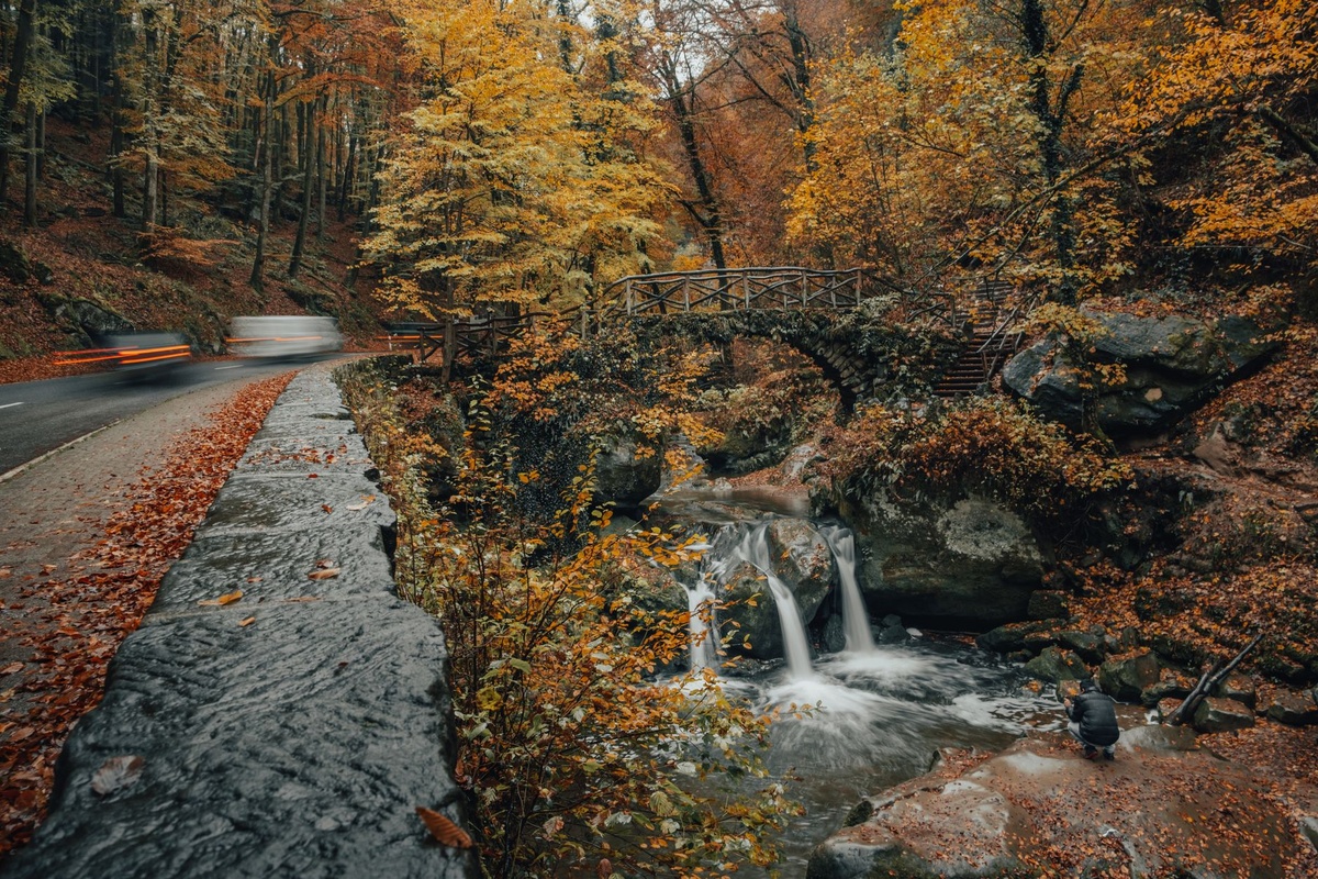 How to Hike Luxembourg’s Mullerthal Trail After 65: A Step-by-Step Three-Day Weekend Route With 8–12 km Stages, Luggage Transfers, Bus Shortcuts, Benches, Toilets, and Senior-Friendly Hotels