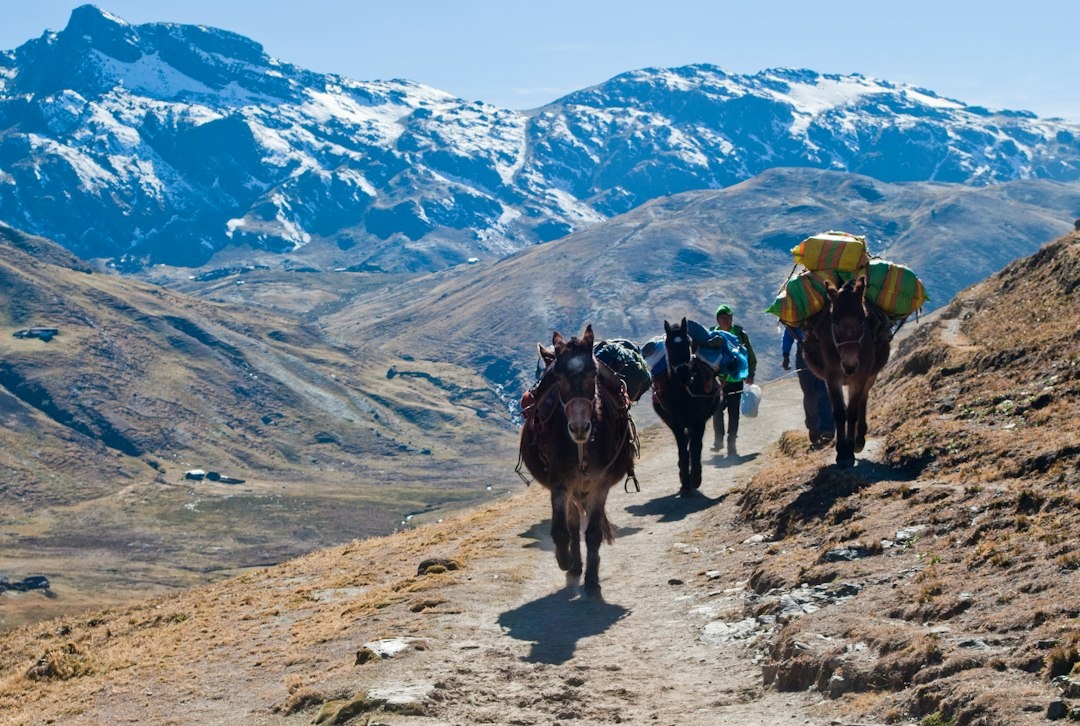 Torres del Paine’s W Trek vs El Chaltén for a First Patagonia Trip: A Data-Driven October 2026 Guide Comparing Campsites, Permits, Food, Bus Fares, Trail Difficulty, Weather Risk, and 10-Day Backpacker Costs