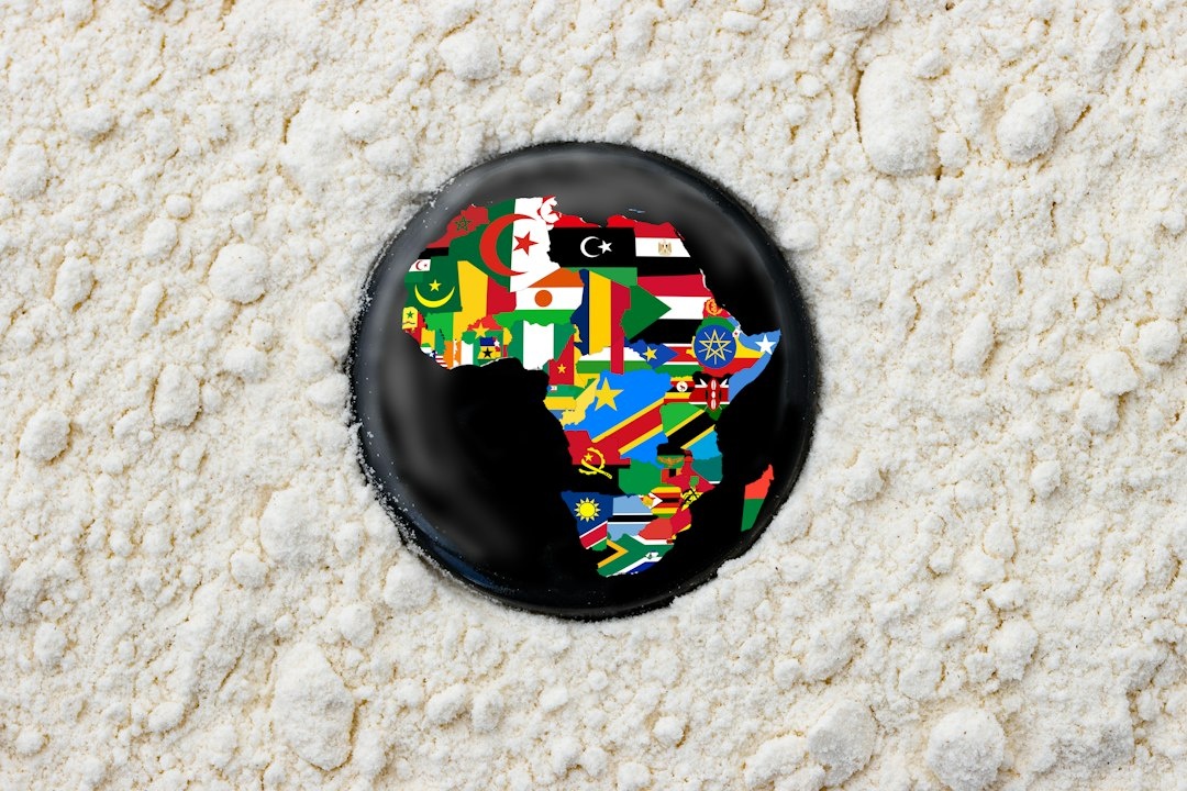 Which Countries Have the Strictest Medication Customs Rules for Solo Travelers Over 65? A Data-Driven Comparison of Japan, the UAE, Singapore, Australia, and New Zealand for 12 Common Prescriptions, Documentation, Quantity Limits, and Penalties