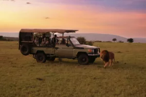 Which Three-Night Kenya Safari Delivers the Most Luxury for Under $2,000?