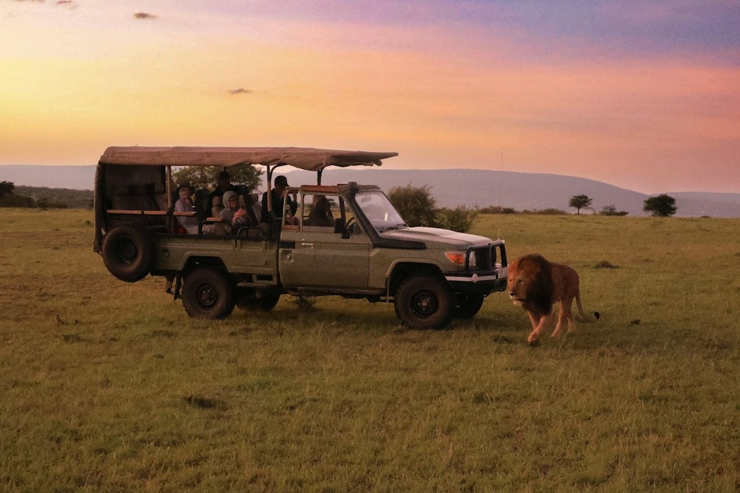 Which Three-Night Kenya Safari Delivers the Most Luxury for Under $2,000? A Data-Driven Comparison of Nairobi National Park, Amboseli, and Maasai Mara by Lodge Quality, Drive Time, Wildlife Sightings, Park Fees, and October Rates